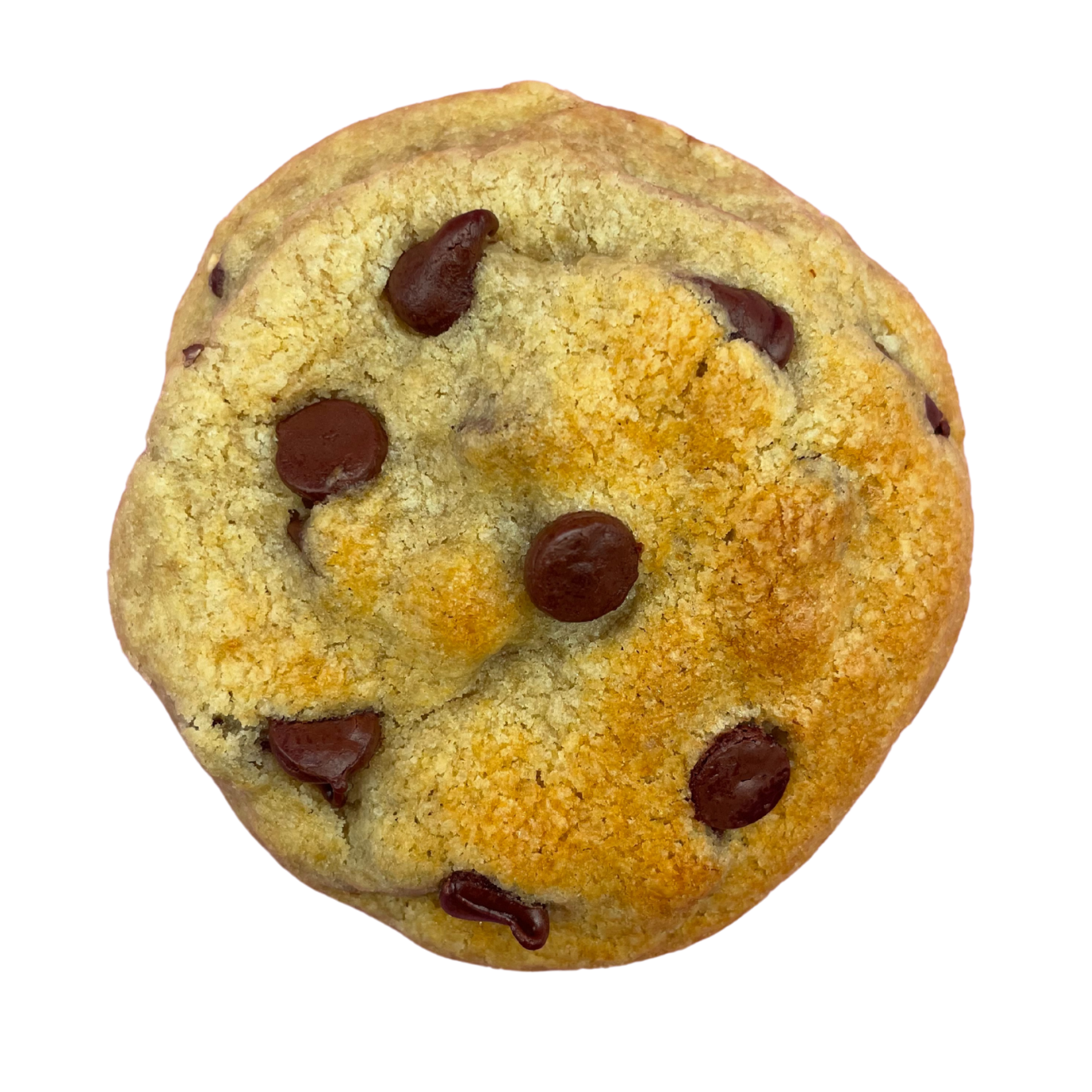 Choco Chip